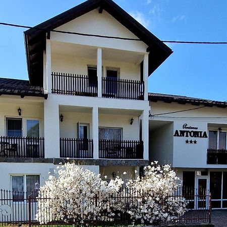 Pensiunea Antonia Vatra Dornei Exterior photo