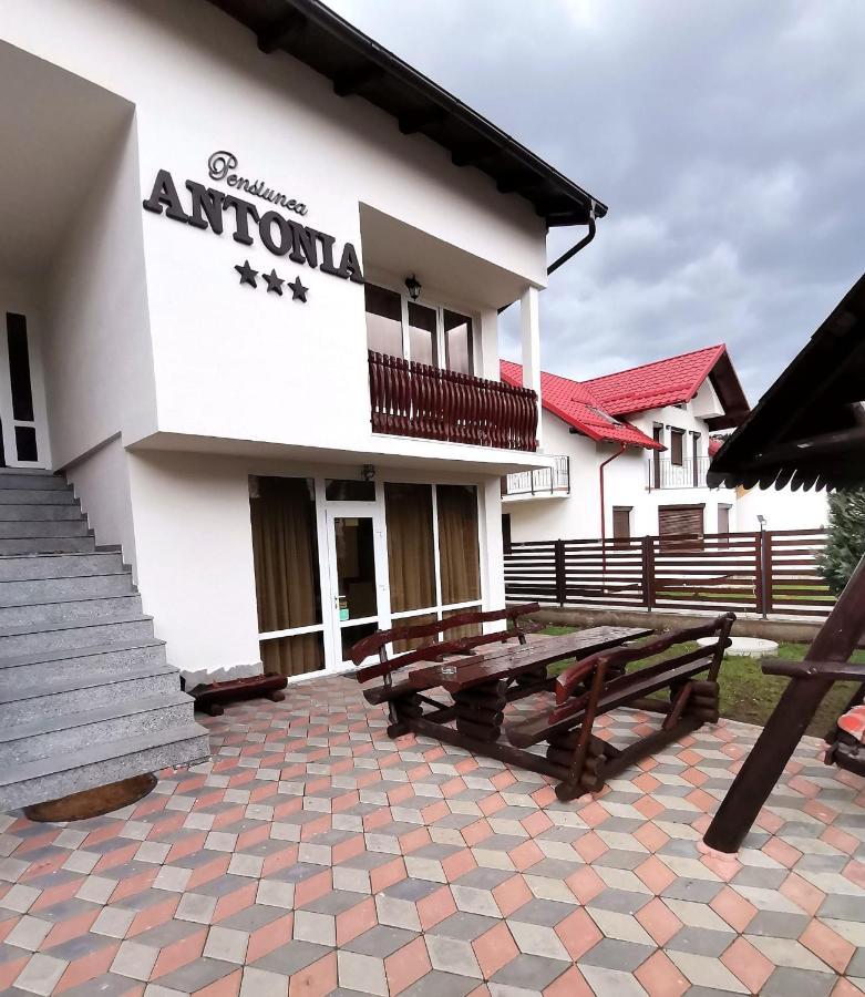 Pensiunea Antonia Vatra Dornei Exterior photo