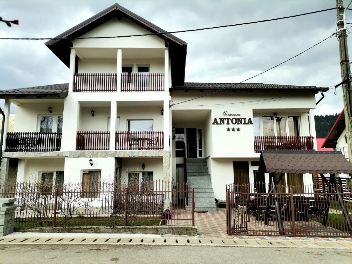 Pensiunea Antonia Vatra Dornei Exterior photo