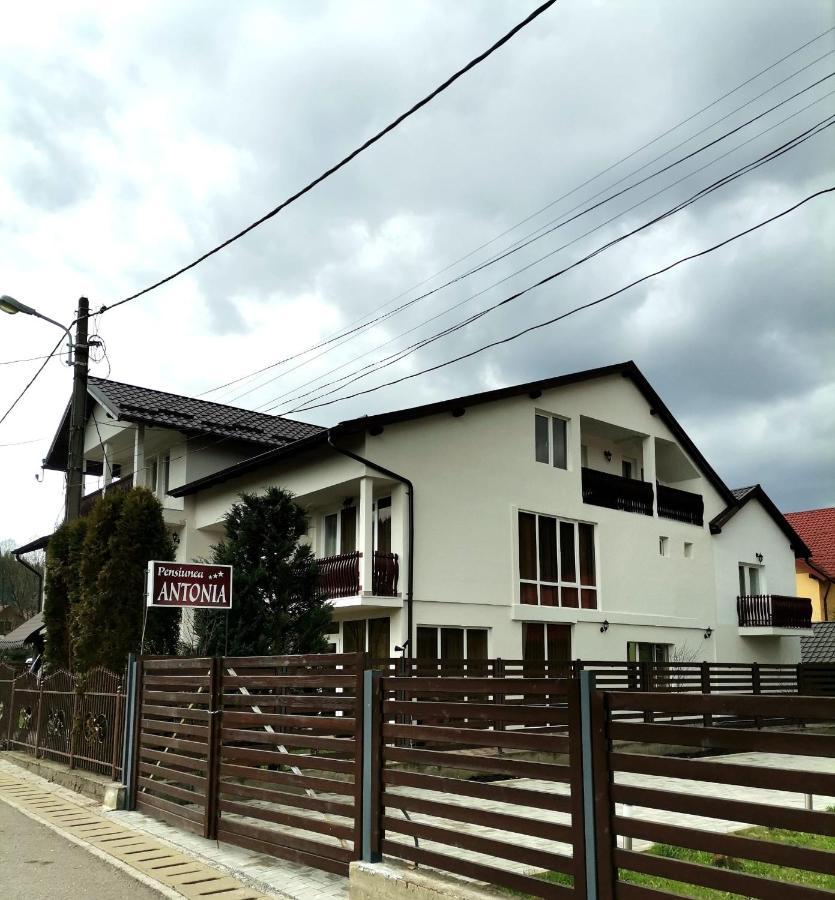 Pensiunea Antonia Vatra Dornei Exterior photo