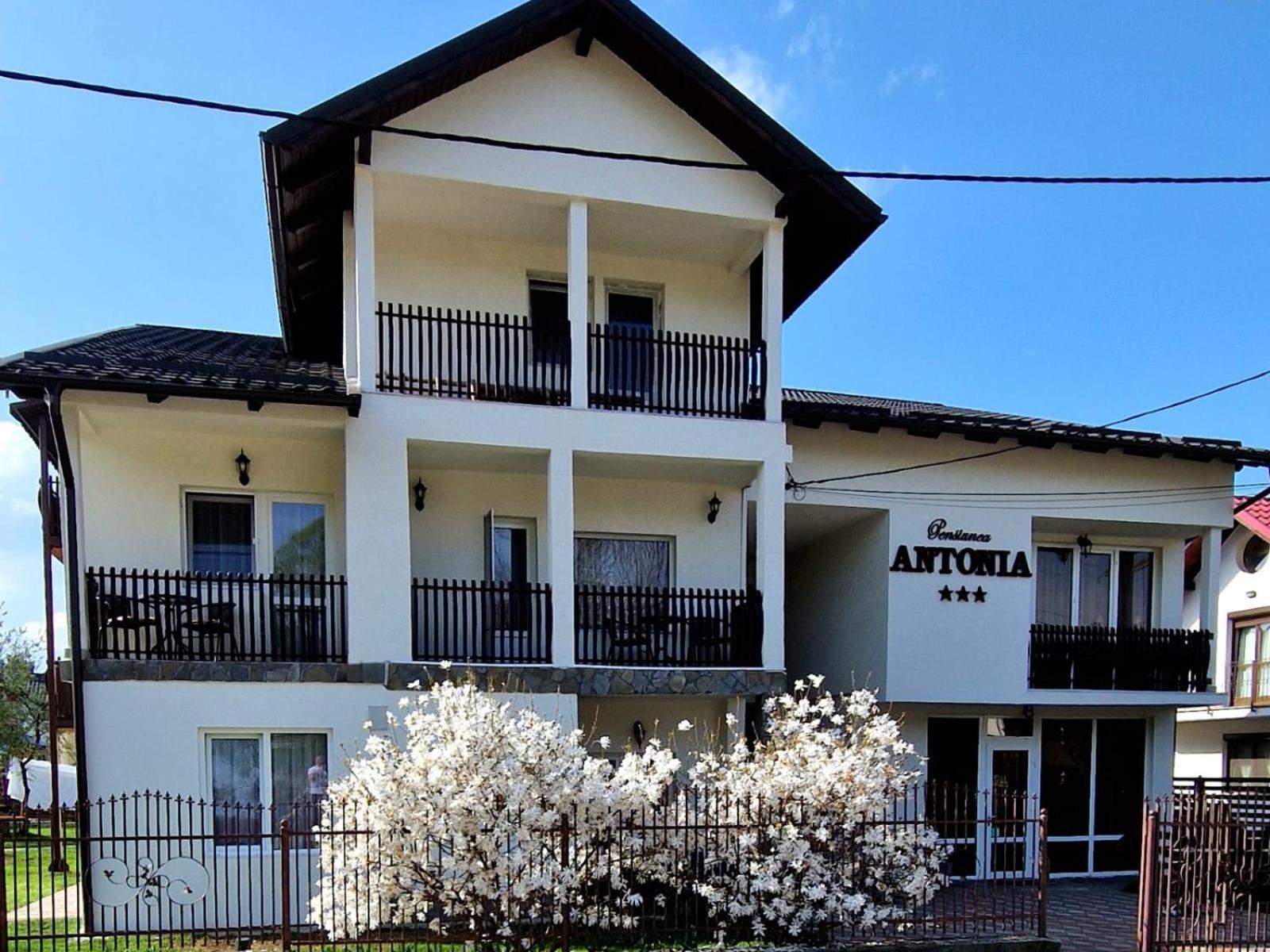 Pensiunea Antonia Vatra Dornei Exterior photo